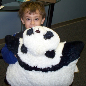 Seattle and his Panda Pillow-Pet at Eclipse Recording Company
