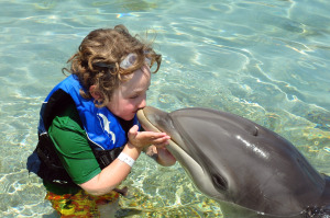 Dolphin Kissing